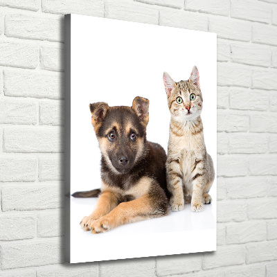 Foto leinwand vertikales Hund und Katze