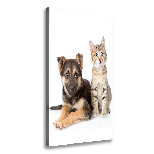Foto leinwand vertikales Hund und Katze