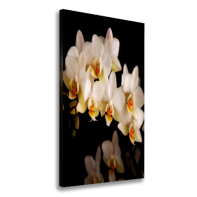 Wandbild vertikales Orchidee