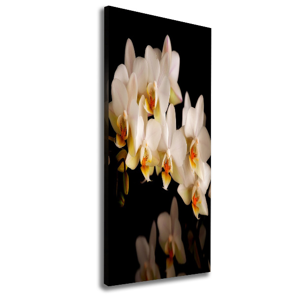 Wandbild vertikales Orchidee