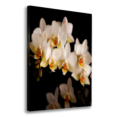 Wandbild vertikales Orchidee