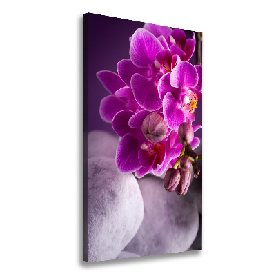Foto leinwand vertikales Rosa Orchidee