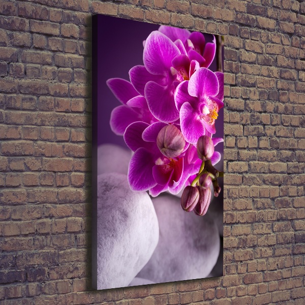 Foto leinwand vertikales Rosa Orchidee