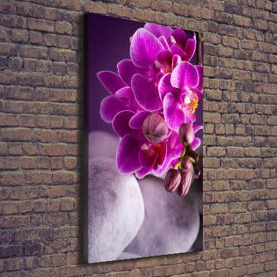 Foto leinwand vertikales Rosa Orchidee