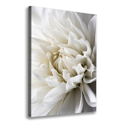 Foto auf leinwand vertikales Weiße Dahlie