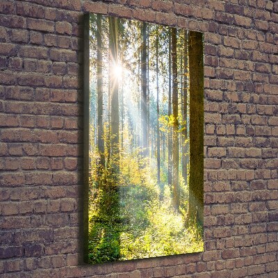 Foto auf leinwand vertikales Die Sonne im Wald