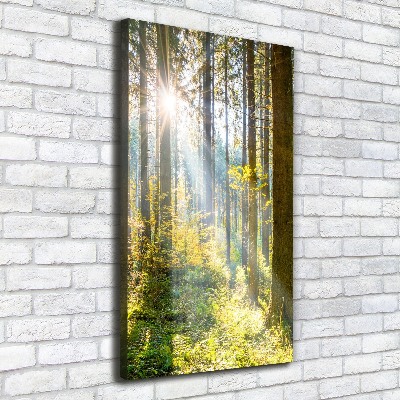 Foto auf leinwand vertikales Die Sonne im Wald