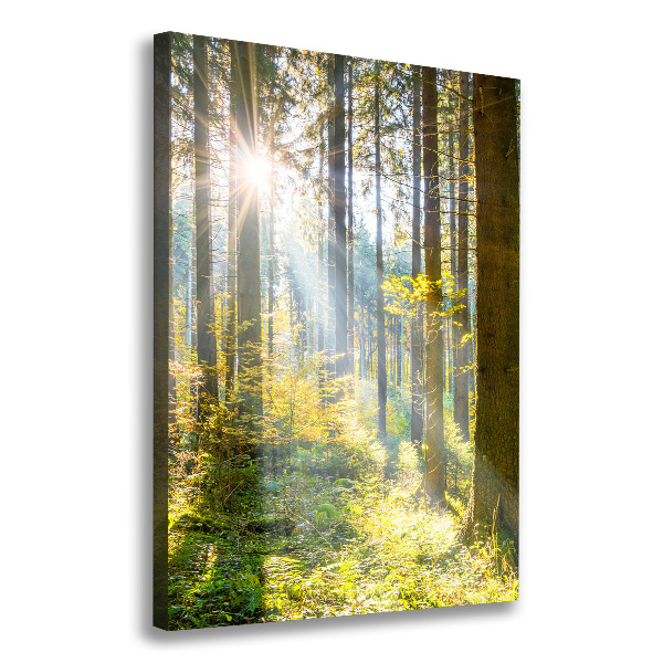 Foto auf leinwand vertikales Die Sonne im Wald