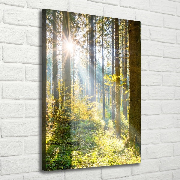 Foto auf leinwand vertikales Die Sonne im Wald
