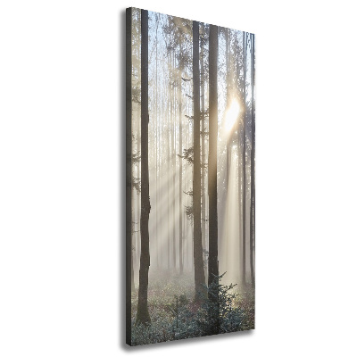 Wandbild vertikales Nebel im Wald
