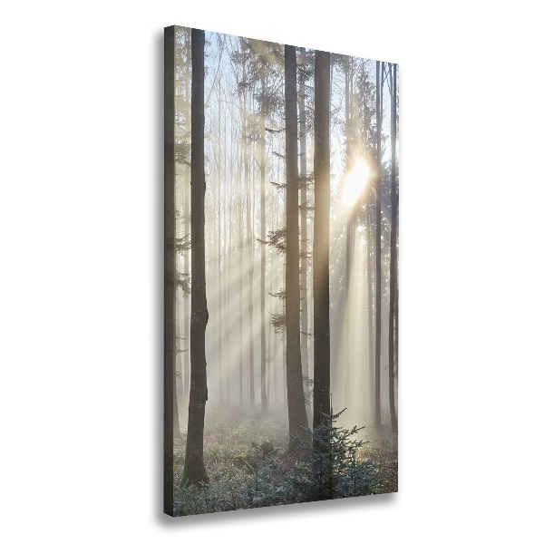 Wandbild vertikales Nebel im Wald