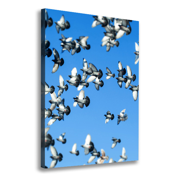 Foto auf leinwand vertikales Tauben am Himmel