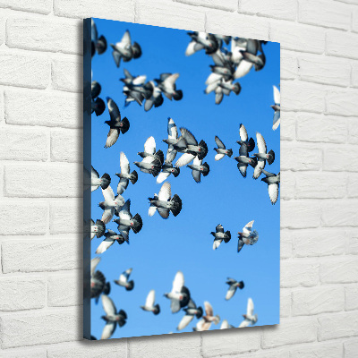 Foto auf leinwand vertikales Tauben am Himmel
