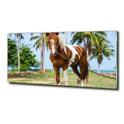 Bild auf glas Geflecktes Pferd