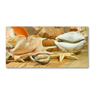 Glasbild Muscheln auf Holz