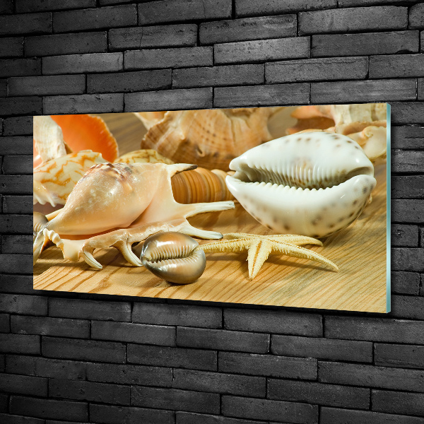 Glasbild Muscheln auf Holz