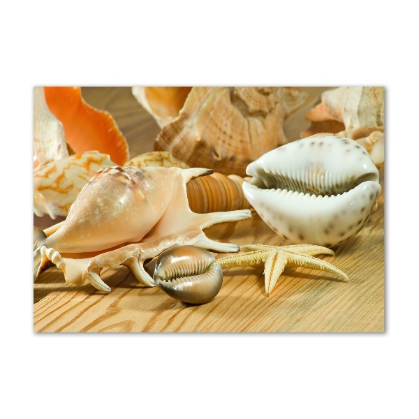Glasbild Muscheln auf Holz