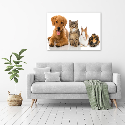 Foto glasbild Hund und Katze