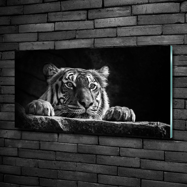 Glasbild Tiger