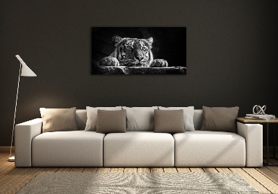 Glasbild Tiger