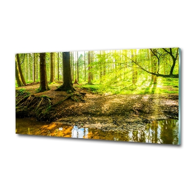 Glasbild Sonnenstrahlen im Wald