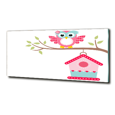 Glasbild Eule auf einem Ast