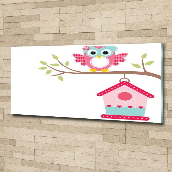 Glasbild Eule auf einem Ast