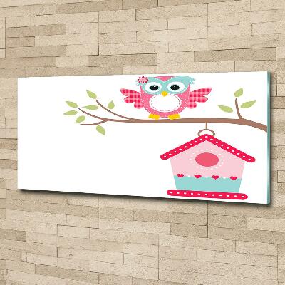 Glasbild Eule auf einem Ast