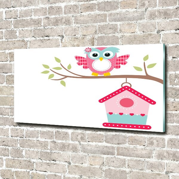 Glasbild Eule auf einem Ast