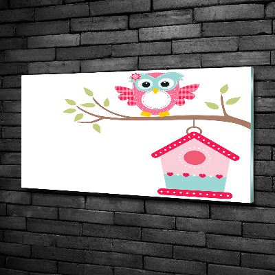 Glasbild Eule auf einem Ast