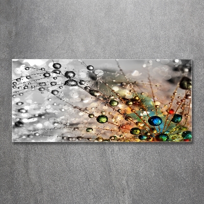 Glasbild Löwenzahnsamen