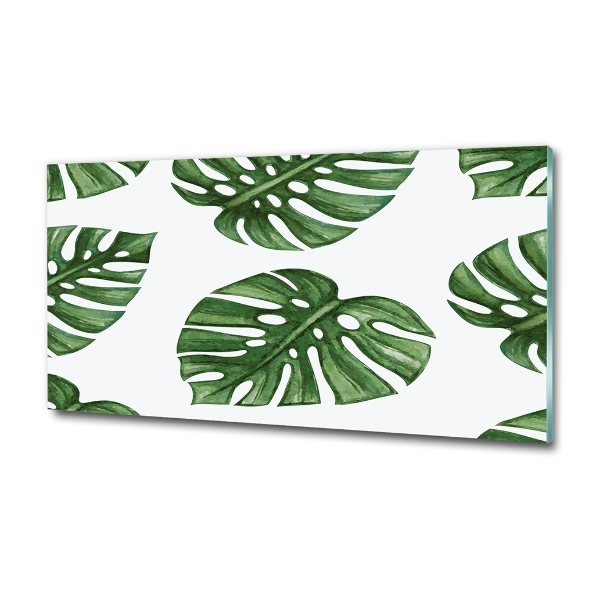 Foto glasbild Monstera