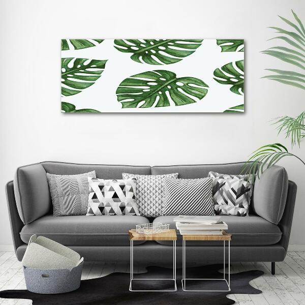 Foto glasbild Monstera