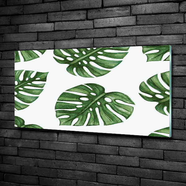 Foto glasbild Monstera