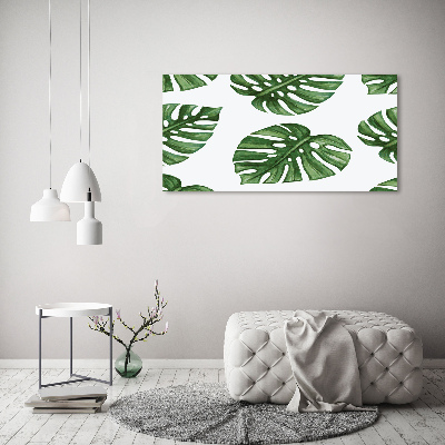 Foto glasbild Monstera