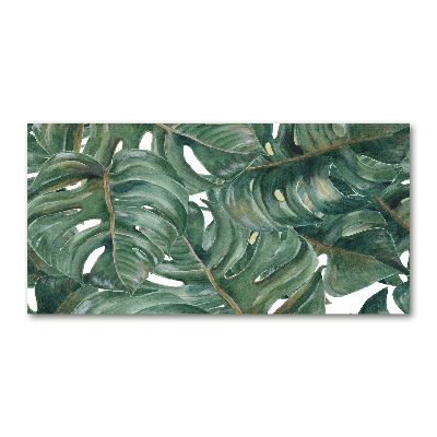 Glasbild Monstera