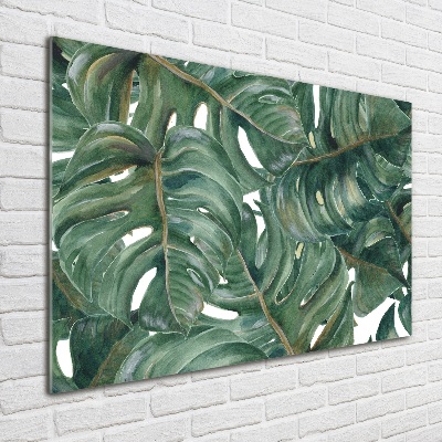 Glasbild Monstera