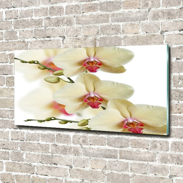 Foto glasbild Orchidee