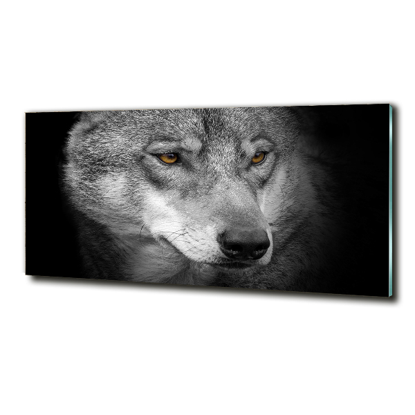 Foto glasbild Wolf