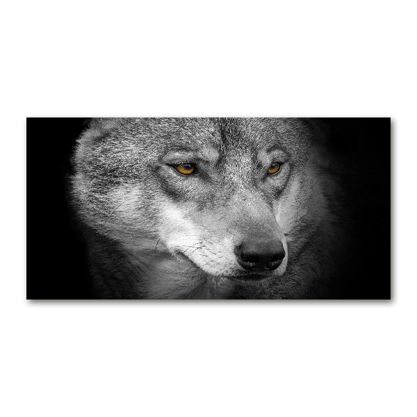 Foto glasbild Wolf