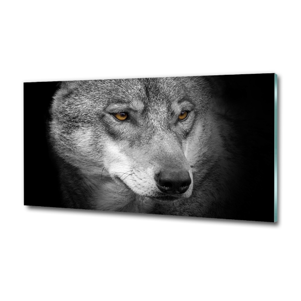 Foto glasbild Wolf