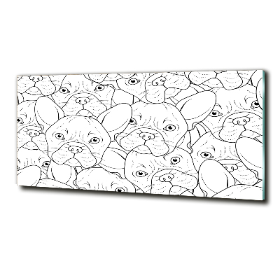 Glasbild Französische Bulldoggen