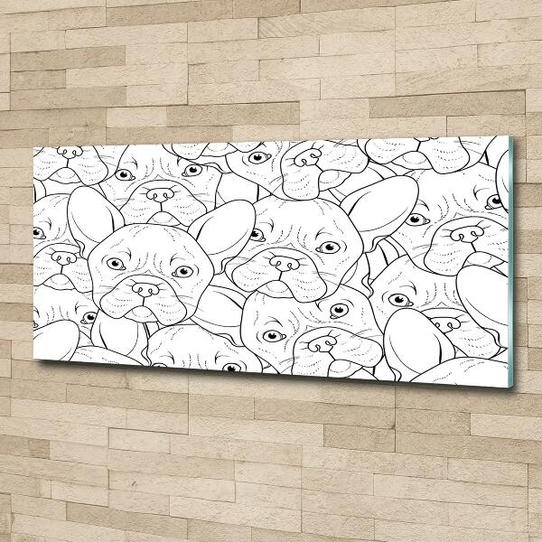 Glasbild Französische Bulldoggen