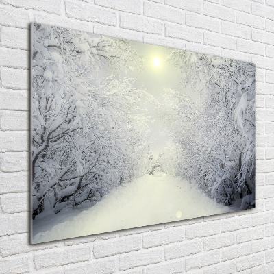 Glasbild Wunderschöner Wald im Winter