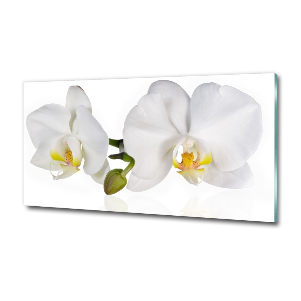 Foto glasbild Orchidee