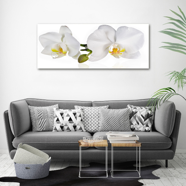 Foto glasbild Orchidee