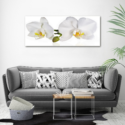 Foto glasbild Orchidee