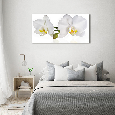 Foto glasbild Orchidee
