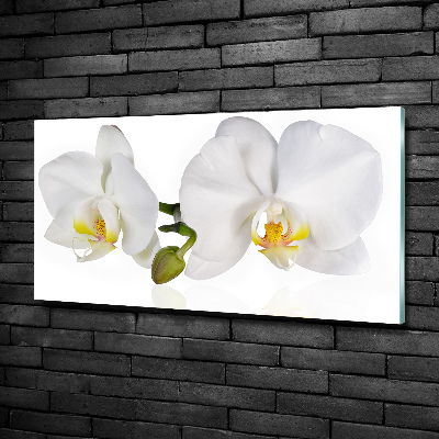Foto glasbild Orchidee