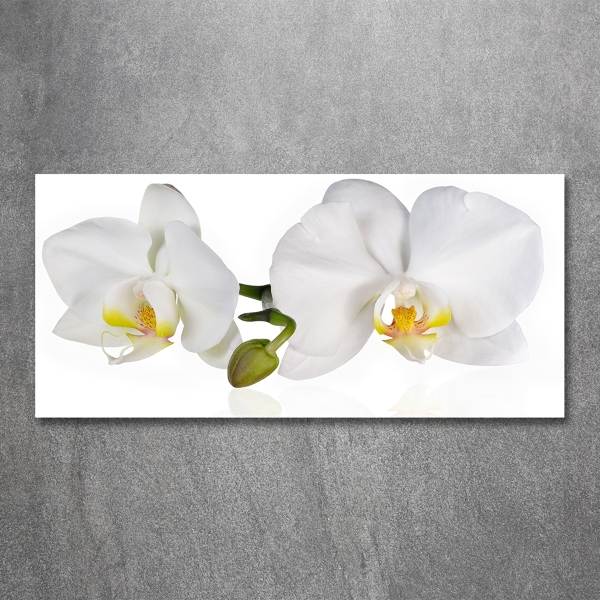 Foto glasbild Orchidee